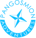 Pancosmos